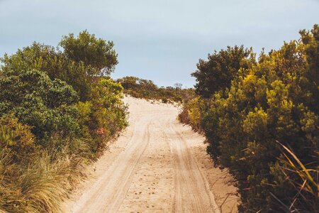 Landscape nature country road photo