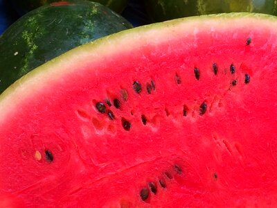 Green food nutrition