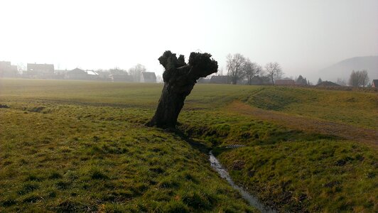 Pasture meadow old