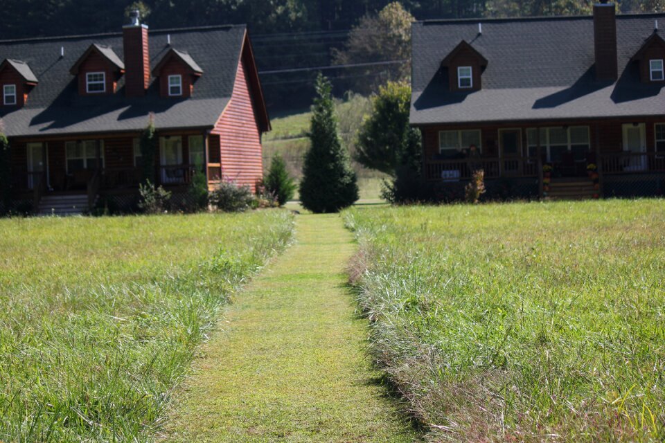 Cabin grass nature