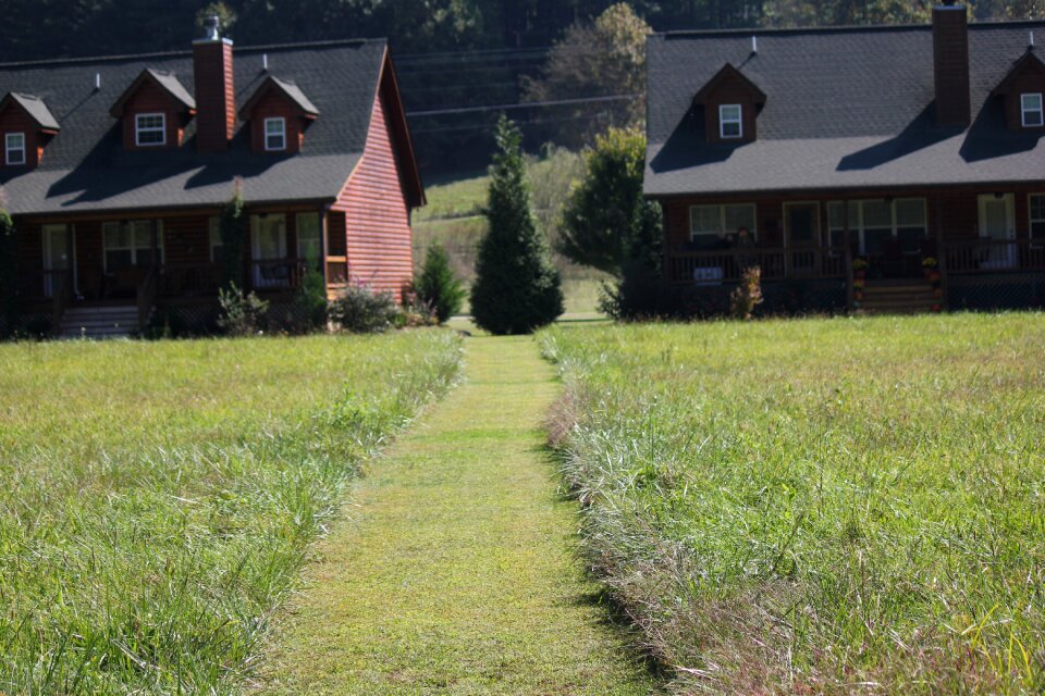 Cabin grass nature photo