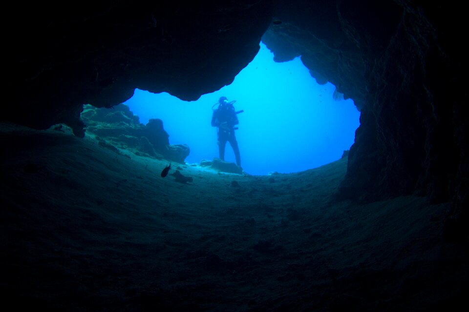 Diving underwater world divers