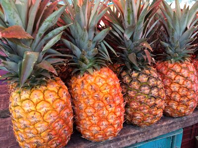 Fresh food tropical