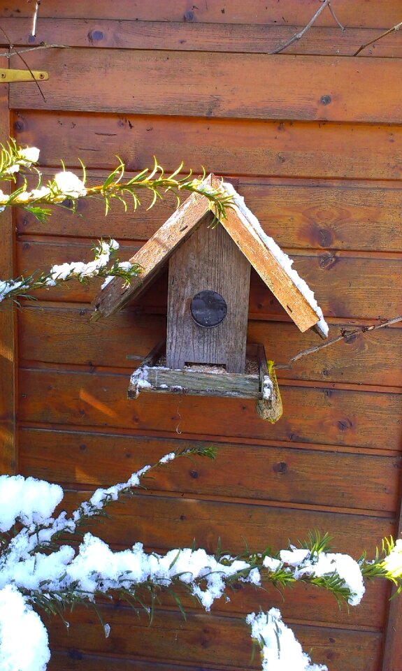 Feed depend bird feeder