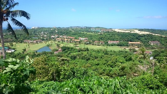 Forest landscape view