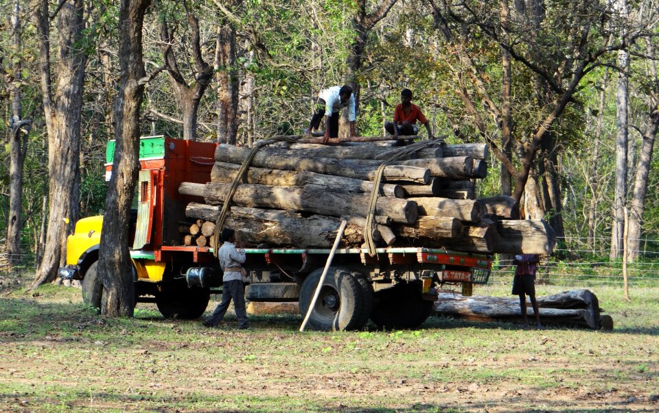 Transport logs depot