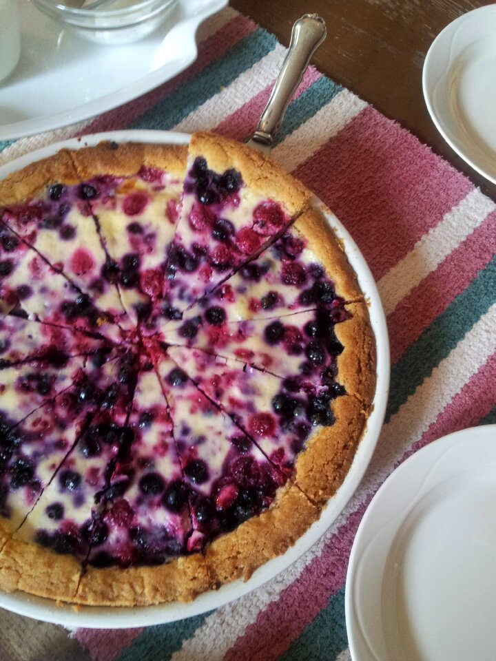 Finland food berry