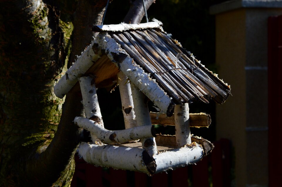Bird feeder nature garden