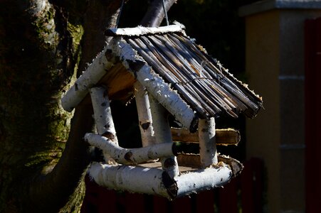 Bird feeder nature garden photo