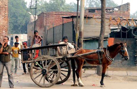 Human horse drawn carriage india photo