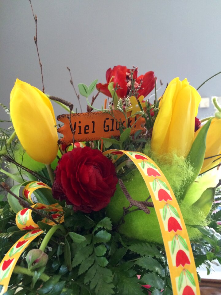 Tulip colorful spring bouquet