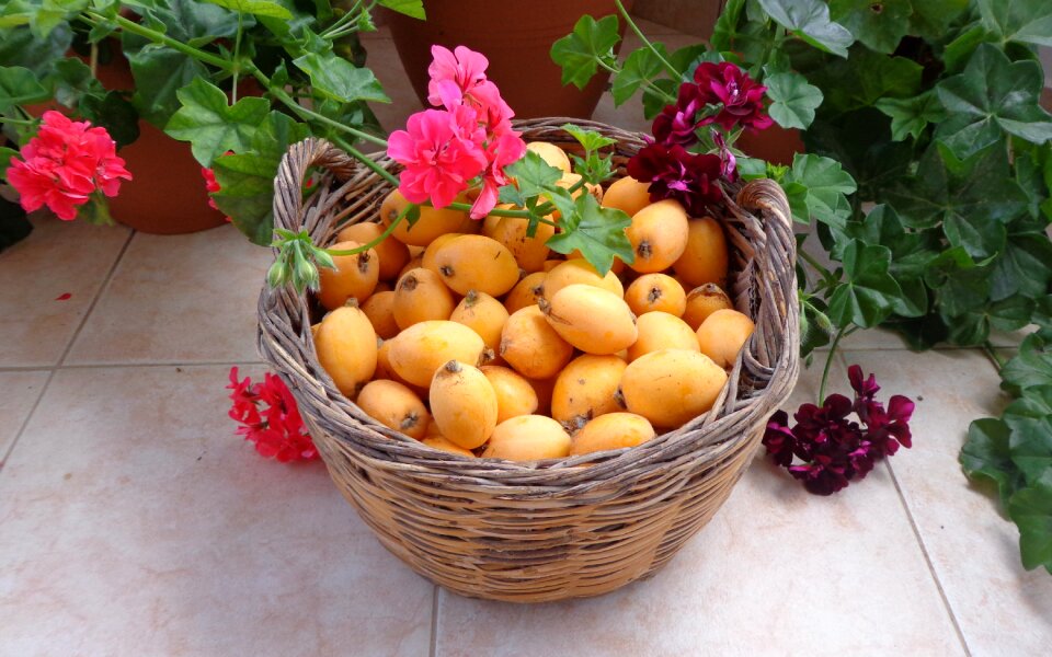 Loquat flowers basket