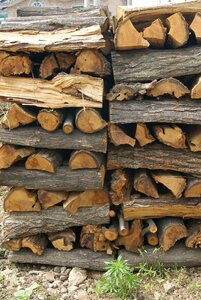 Wood firewood also clearly sense