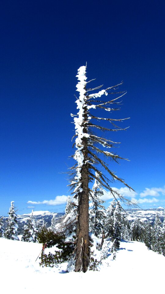 California ski wind
