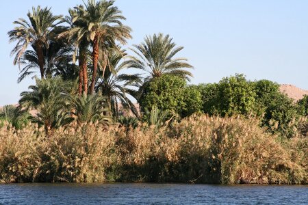 Egypt nature water