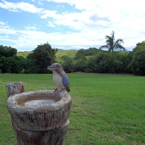 Rural country bath photo