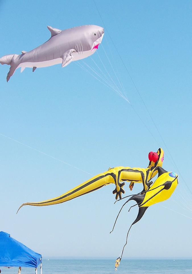 Huge three flying