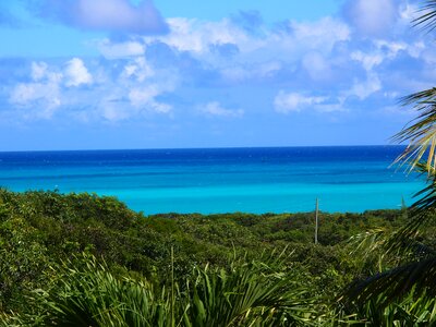 Ocean paradise