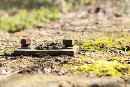 Rust nature old