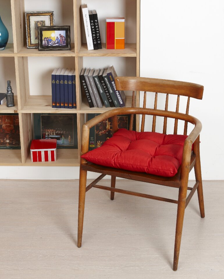 Cushions bookshelves the sanctum sanctorum photo