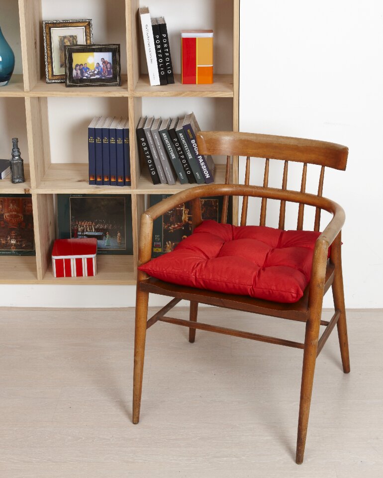 Cushions bookshelves the sanctum sanctorum