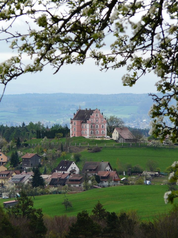 Baroque style pink idyll