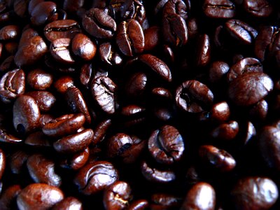 Drink brown espresso photo