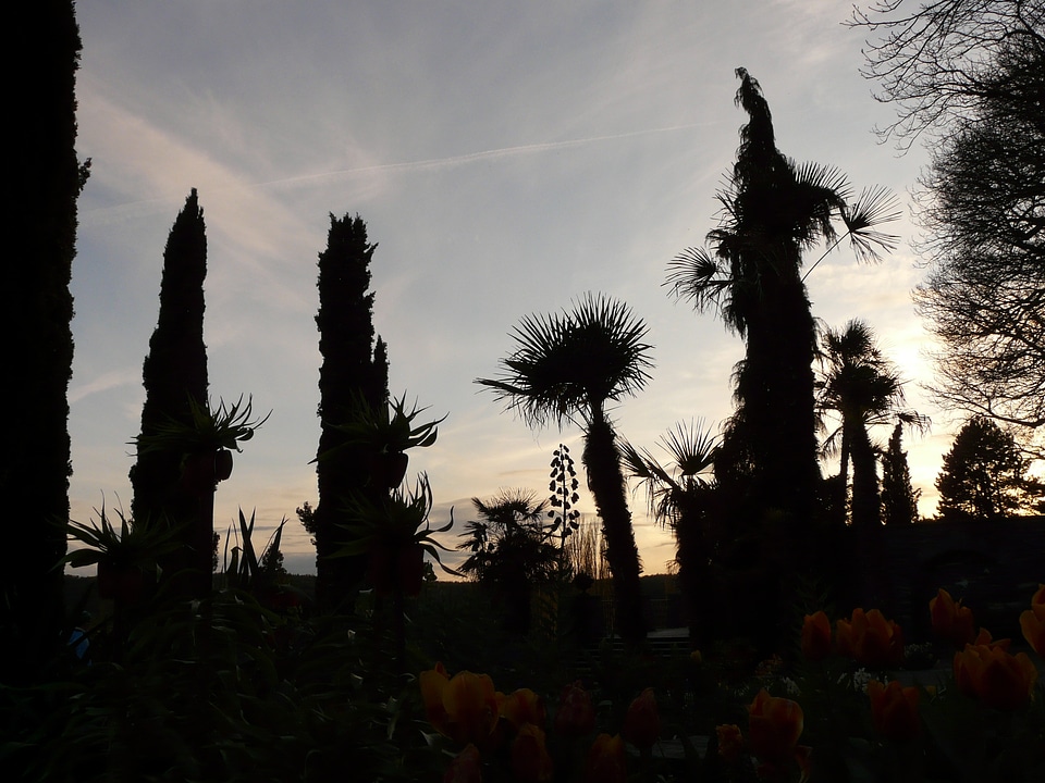 Light shadow exoticism