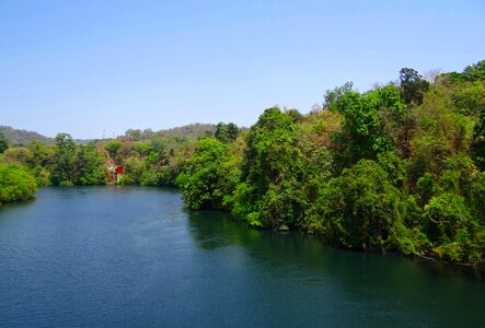 Landscape mountain greenery photo