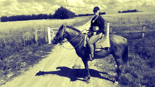 Horse ride landscape