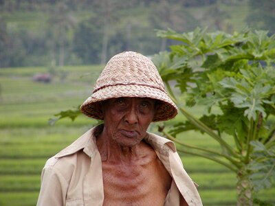 Old man paddy asia