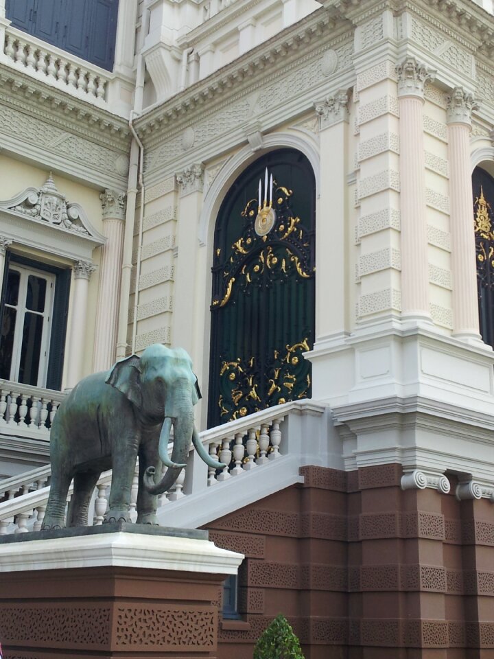 Thai gray elephant