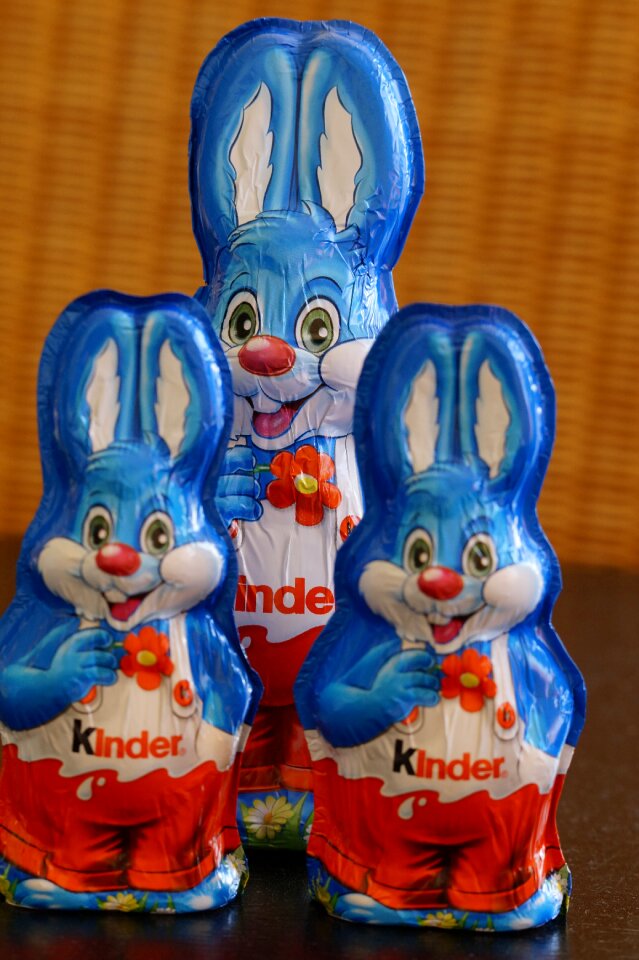 Easter greeting rabbit spring