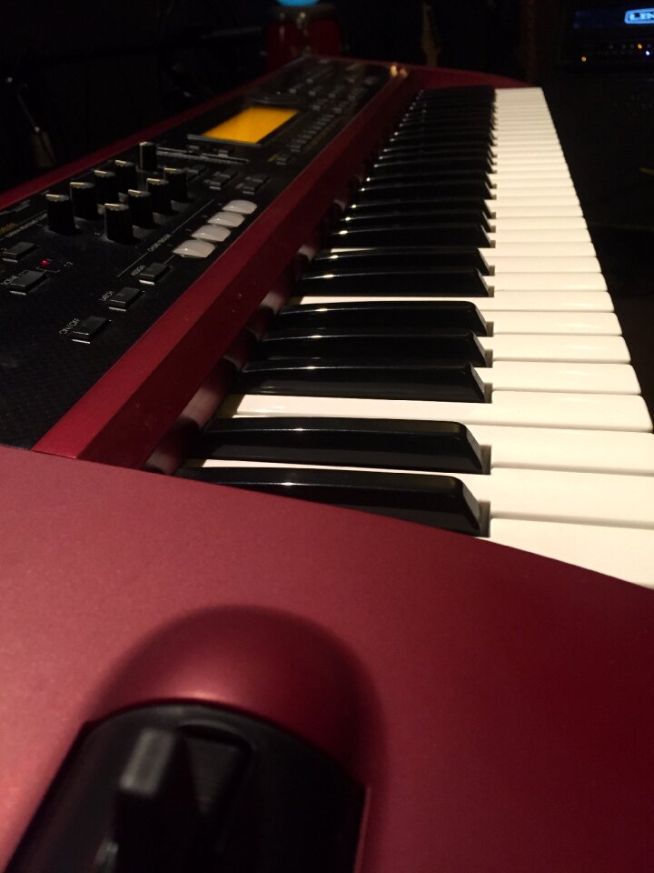 Entertainment musician