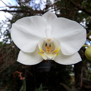 Macro nature tropical