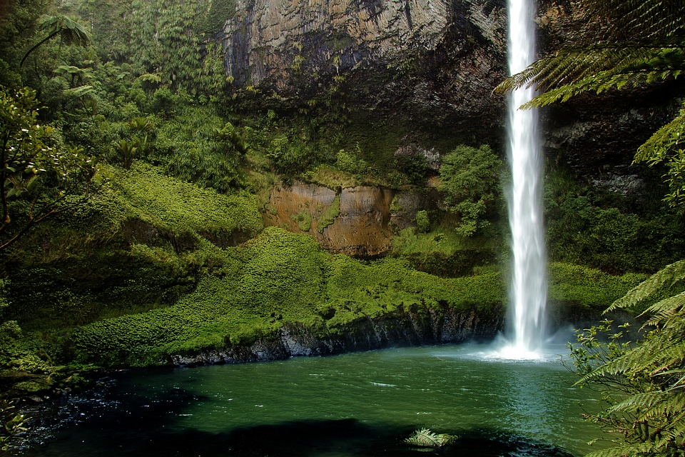 Nature north island green