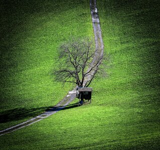 Tree hut nature photo