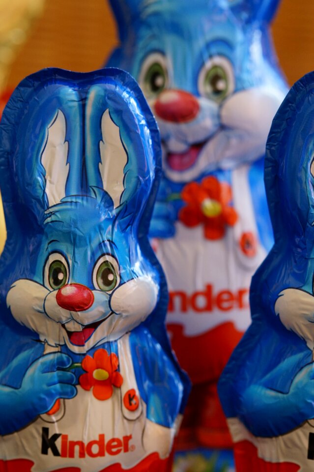 Easter greeting rabbit spring