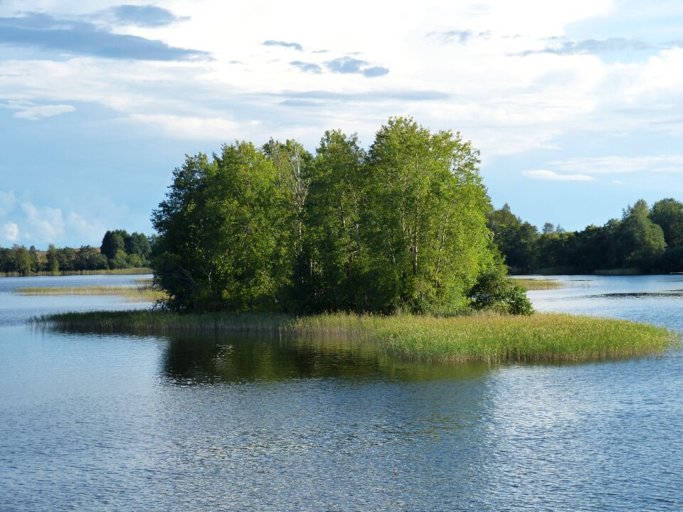 Landscape recovery nature
