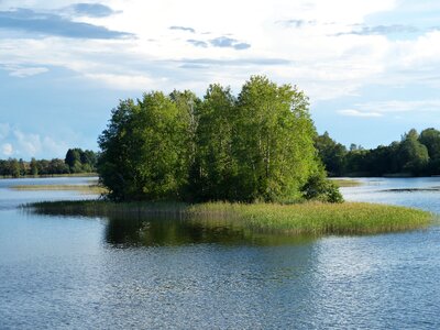 Landscape recovery nature
