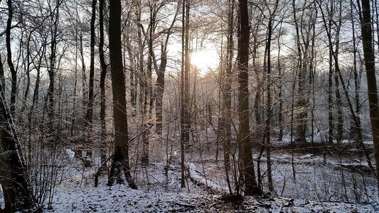 Winter scenery landscape photo