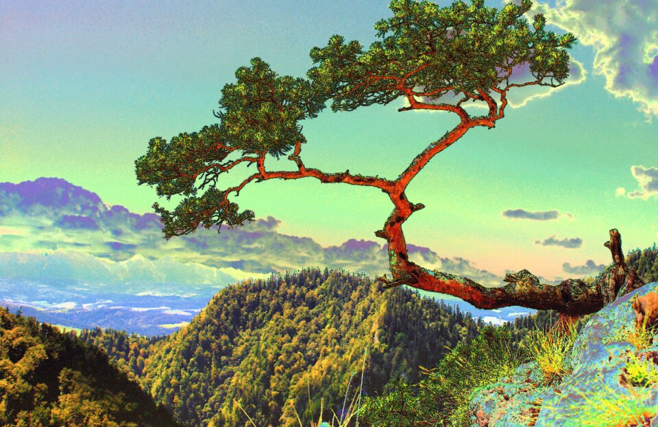 Distorted stock mountains pieniny