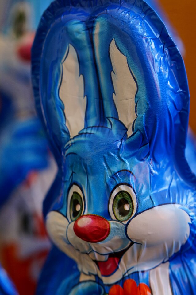 Easter greeting hare spring