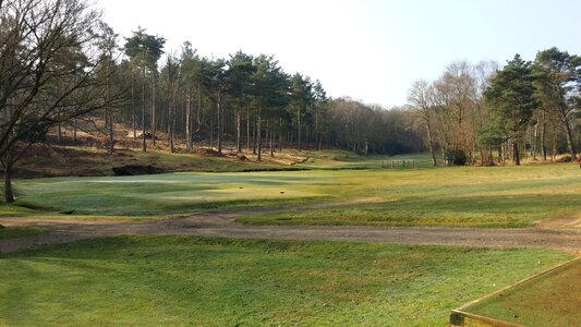 Green fairway golfing