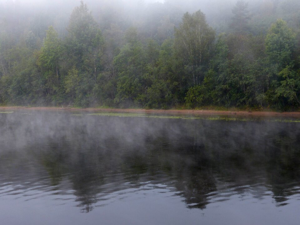 Russia recovery nature