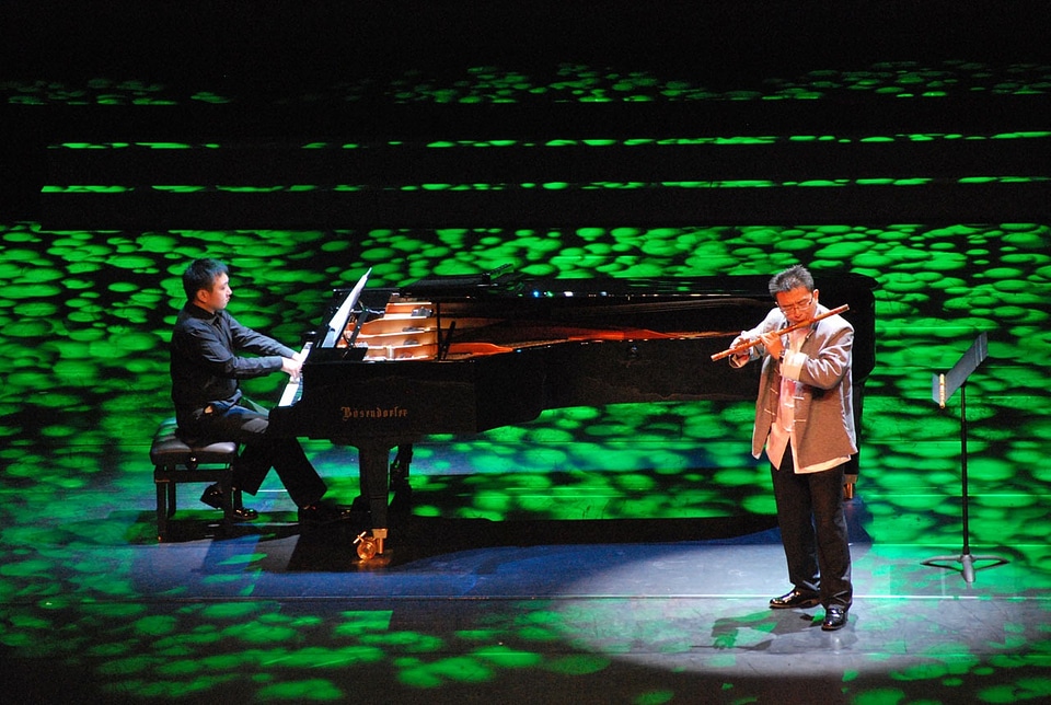 Performers musicians concert