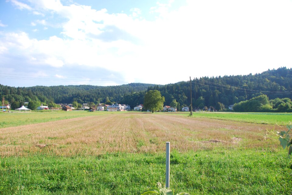 Wild wild field agriculture