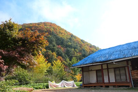 Rural landscape autumn leaves blue roof