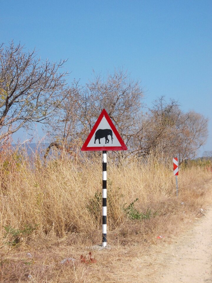 Elephant traffic sign attention elephant