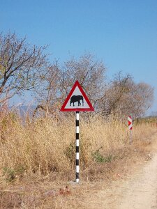 Elephant traffic sign attention elephant